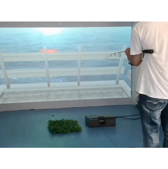 interactive fishing projection