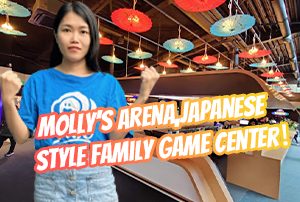 2022 Newest Family Game Center In Netherlands|Most Popular Japanese Style Family Game Center