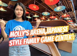 2022 Newest Family Game Center In Netherlands|Most Popular Japanese Style Family Game Center