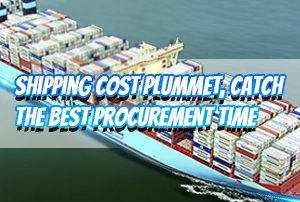 Shipping Cost PLUMMET, Catch The Best Procurement Time