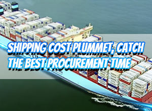 Shipping Cost PLUMMET, Catch The Best Procurement Time