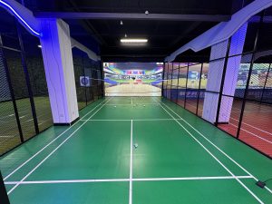 2023 Best Interactive Projection Badminton Made In China|Factory Price Interactive Projection Badminton For Sale