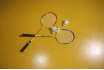 2023 Best Interactive Projection Badminton Made In China|Factory Price Interactive Projection Badminton For Sale