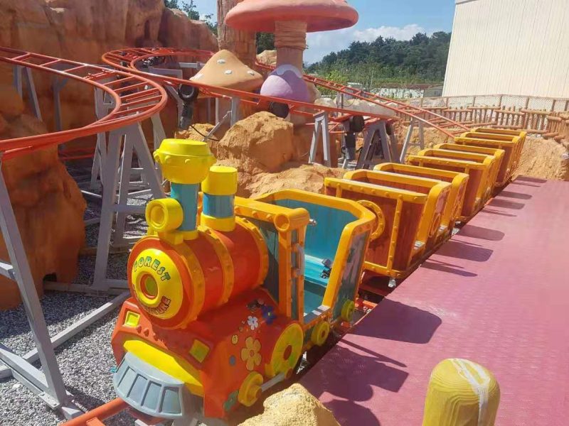 Best Price Roller Coaster Amusement Rides For Sale