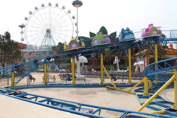 Best Price Roller Coaster Amusement Rides For Sale China Supplier