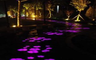 Floor-Projection-at-Park