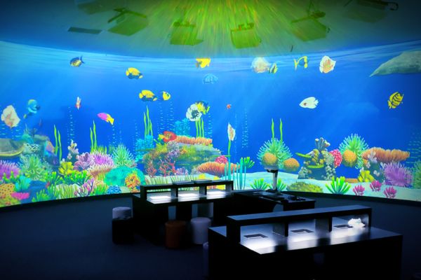 Ocean-World-interactive-projection-Exhibition-in-China-Aquarium